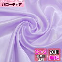 DERAYEE シルク風 サテン生地 織物 生地 輝き 約142cm×200cmカット 肌触りの良い 選べる5色 手作り DIY 裁縫 手芸 贈り物 (2M, ...