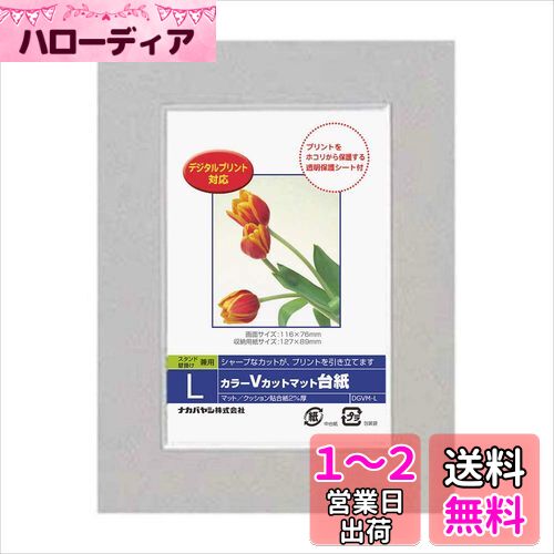 ʥХ䥷 Digio֥顼Våȥޥå L 졼 DGVM-L-N [ե]