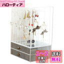 Anberotta ピアス イヤリング スタンド ネックレス 収納 アクリル製 アクセサリー ジュエリー ディスプレイ コレクション AT4 (透明)