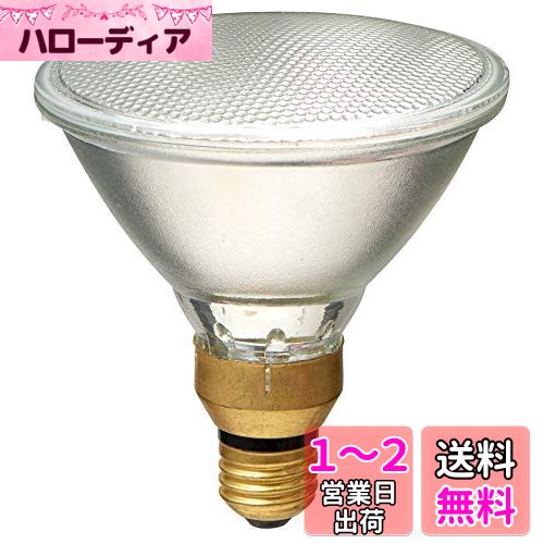  (ELPA) ϥӡ׻  ŵ 1250lm 90W EBRF110V90W