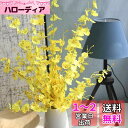 造花 インテリア アートフラワー 花束 踊る蘭 5本 フラワー プレゼント ギフト 贈り物 開店祝い 誕生日 お見舞い 感謝 お礼 ウェディング ブーケ 結婚式...