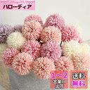 造花 インテリア 花束 手作り 枯れない花 プレゼント ギフト 卒業式 誕生日 ウェディング 飾り 撮影 美術館 ホーム 庭園 キッチン オフィス 喫 パーティ...