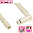 SANEI 風呂水給水ホース 長さ7m バスポンプ機能付洗濯機用 残り湯利用 交換用ホース PT171-871-7 ホワイト