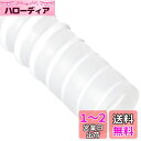 SANEI 風呂水給水ホース バスポンプ用 長さ4m 内径15mm PT171-880-4 ホワイト