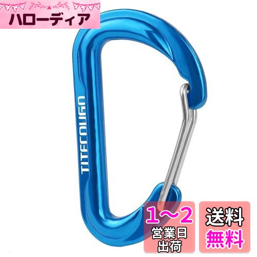 TITECOUGO カラビナ 小 多機能 リュック 小物入れ おしゃれ アルミ Dリング Dフック スナップ アウトドア キーホルダー 釣り 登山 ハイキング キャンプ 旅行 軽量 オフィス ストラップ キャンプ用品 ポーチ dカン 鍵掛け 生活雑貨 スカイブルー