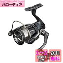 シマノ(SHIMANO) スピニングリール 19 ヴァンキッシュ C5000XG ヒラスズキ ライトショアジギング・キャスティング