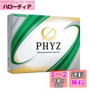 BRIDGESTONE(ブリヂストン)ゴルフボール19PHYZ ホワイト 12球入
