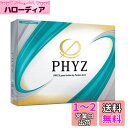 BRIDGESTONE(ブリヂストン)ゴルフボール19PHYZ グリーン 12球入