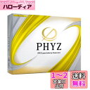 BRIDGESTONE(ブリヂストン)ゴルフボール19PHYZ イエロー 12球入