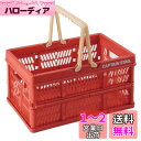 キャプテンスタッグ(CAPTAIN STAG) 折りたたみ コンテナ カゴ フォールディング ハンディ コンテナ 取っ手付き Sサイズ レッド UL-1040(4)
