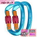 TRIWONDER カラビナ 登山 ロックカラビナ アルミ Dリング キーホルダー クライミング 登山釦 キーチェーン ワイヤーゲート クリップ ハンモック キャンプ用 セルフロック バックパック 脱落防止 (ブルー - 2個)