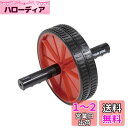 キャプテンスタッグ(CAPTAIN STAG) 筋トレ エクササイズ フィットネス 腹筋ローラー エクササイズローラー シングル ブラック/レッド Vit Fi...