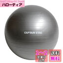 キャプテンスタッグ(CAPTAIN STAG) エクササイズ フィットネス 体幹トレーニング フィットネスボール Φ55cm シルバーホワイト Vit Fit UR-861(4)