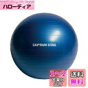 キャプテンスタッグ(CAPTAIN STAG) エクササイズ フィットネス 体幹トレーニング フィットネスボール Φ55cm ブルー Vit Fit UR-86...