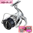シマノ(SHIMANO) スピニングリール 19 ストラディック 2500S バス用スタンダードモデル エギング
