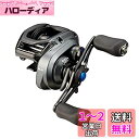 シマノ(SHIMANO) ベイトリール 両軸 19 SLX MGL 71XG バス釣り ラバージグ 点撃ち マキモノ