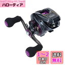 ダイワ(DAIWA) LIGHT SW X IC R カウンター付ベイトリール