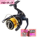 シマノ(SHIMANO) スピニングリール 19 スフェロス SW 3000XG ショアジギング シーバス サクラマス