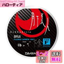 ダイワ(DAIWA) フロロライン 月下美人TYPE-F2 2lb. 150m 陰 ナチュラル