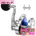 WATACHAMPワタチャンプ カリビアン(Caribbean) ジギング専用ベイトリール 大物用 レバードラグリール パワーハンドル 全身金属精密機械加工 ギ...