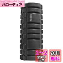 キャプテンスタッグ(CAPTAIN STAG) ヨガ エクササイズ フィットネス ショートポール ブラック Vit Fit UR-804