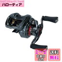 ダイワ(DAIWA) ベイトリール 19 スティーズ CT SV TW 700SHL(2019モデル)