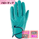 キャスコ(Kasco) ゴルフグローブ palette パレット メンズ SF-2014