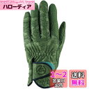 キャスコ(Kasco) ゴルフグローブ palette パレット メンズ SF-2014