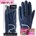 キャスコ(Kasco) ゴルフグローブ palette パレット メンズ SF-2014