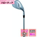 キャスコ(Kasco) ドルフィンウェッジ セミグースネックタイプ メンズ DW-120G