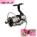 ダイワ(DAIWA) スピニングリール 20 ルビアス LT3000-C(2020モデル)