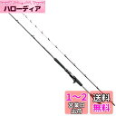 シマノ(SHIMANO) ロッド 船竿 20 ミッドゲーム CI4+ TYPE73 H220 RIGHT 多魚種に対応 オールラウンダー ブリ アカムツ オニカサゴ