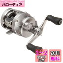 シマノ(SHIMANO) ベイトリール 両軸 20 カルカッタコンクエスト DC 100 RIGHT シーバス マキモノ