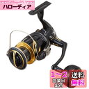 シマノ(SHIMANO) スピニングリール 20 ステラ SW 4000HG ライトショアジギング&プラッギング スタンダードモデル