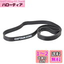 キャプテンスタッグ(CAPTAIN STAG) 筋トレ エクササイズ ストレッチ フィットネス トレーニングバンド スーパーハード Vit Fit UR-898 ブラック(4)