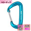 TITECOUGO カラビナ 12Kn 登山用 大 カナビラ Dd リング 工具用 1T スリング ハンモック ベルト ポーチ 道具 釣り 中 付 作業台 金具 ガジェット サイドバッグ ハンモックベルト アクセサリーホルダー 登山釦 スカイブルー 2個