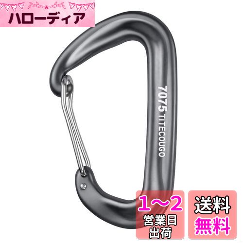 TITECOUGO カラビナ 12 KN ハンモック 1200 KG キャンプ フック 大 ツリークライミング 船舶用品 登山釦 カラビナ クリップ Dd キーホルダー 多機能 リング アウトドア 用 錆びない 頑丈 釣り グレー 1個
