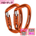 カラビナ 12KN オートロック式 BRAVESHINE 耐荷重1200kg ロックカラビナ Dリング 軽量 ハンモック タープ キャンプ用 荷物のフック 犬のリード用 多機能 2個セット (オレンジ2個)