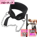 Smilerain 懸垂 ベルト 加重ベルト ディプスベルト ディッピングベルト トレーニングベルト 耐久性 付け心地が良い チェーンの長さ調節できる 丈夫で使...
