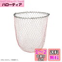 ダイワ(DAIWA) 磯替網 深底60 レッド