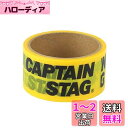 キャプテンスタッグ(CAPTAIN STAG) 養生テープ マスキングテープ CSデザインテープ 幅48mm×長さ10m イエロー UM-1553