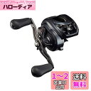 ダイワ(DAIWA) 21 タトゥーラ TW 300XH