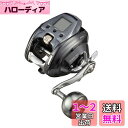ダイワ(DAIWA) 21 シーボーグ 300J