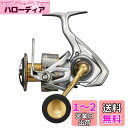 ダイワ(DAIWA) 21 フリームス LT6000D-H
