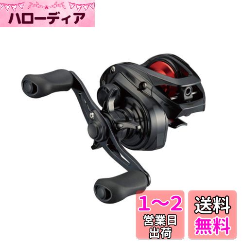 ダイワ(DAIWA) ベイトリール 21 PR100