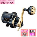 ダイワ(DAIWA) 21 ソルティガIC 100L