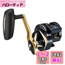 ダイワ(DAIWA) 21 ソルティガIC 300H-SJ