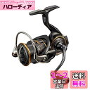 ダイワ(DAIWA) 21 カルディア LT2500S-XH