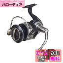 ダイワ(DAIWA) 21 セルテートSW 14000-XH