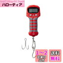 ダイワ(DAIWA) デジタルスケール 25 レッド